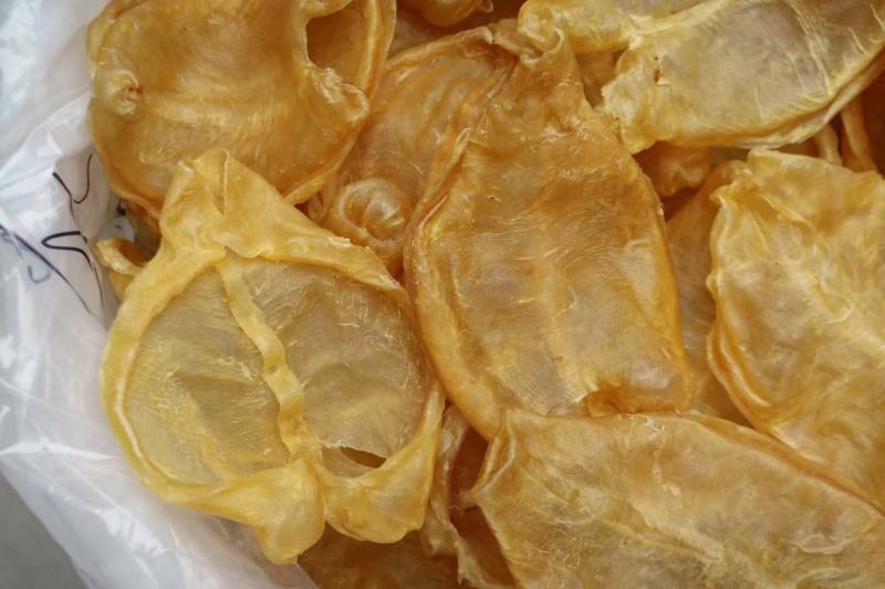 10头开边黄花胶鱼胶花胶批发条条精选口感好腥味小