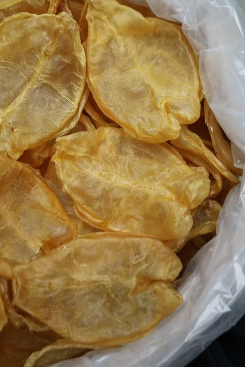 10头开边黄花胶鱼胶花胶批发条条精选口感好腥味小