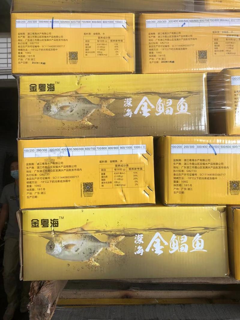 金鲳鱼500-600克、金昌鱼毛重10公斤，工厂直供