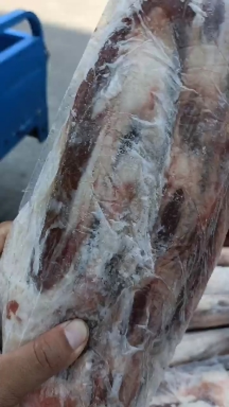 牛尾，油少，去边根，实拍图片，一手货源，全国冷链发货