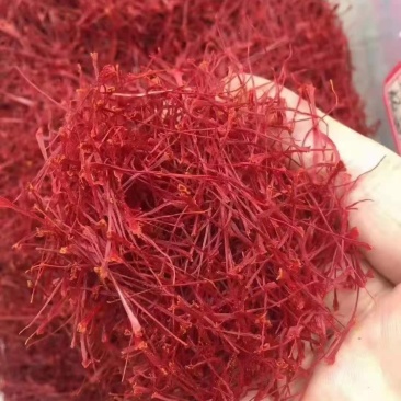 藏红花