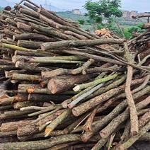 常年出售食用菌木屑，有青冈木硬杂木加工而成质量优规格齐全