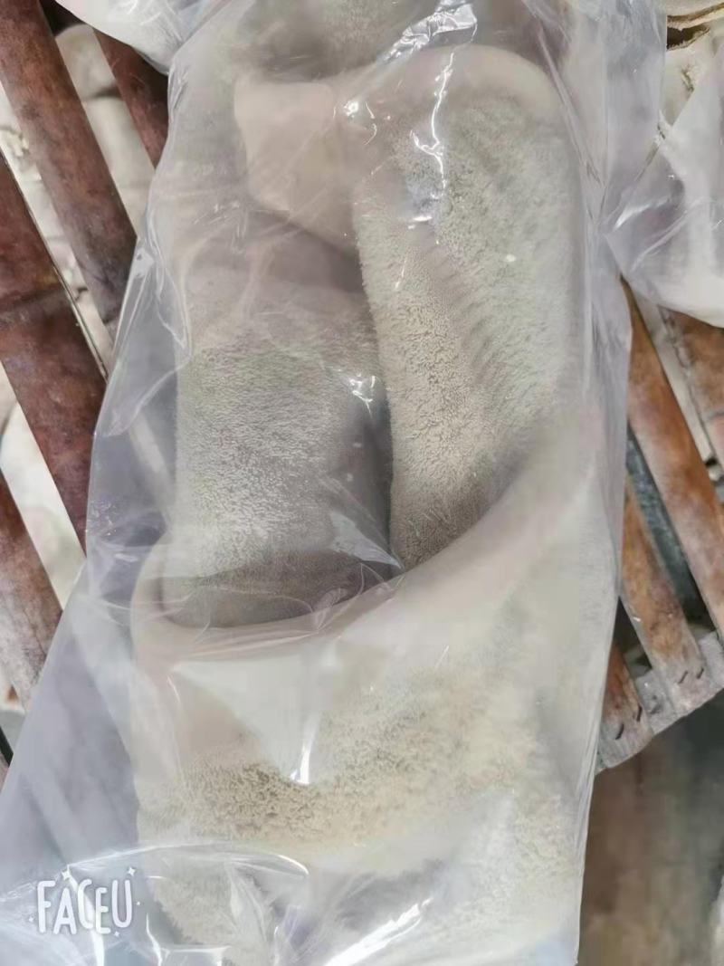 牛肚，清水全熟牛肚，质量好，一手货源，全国冷链发货