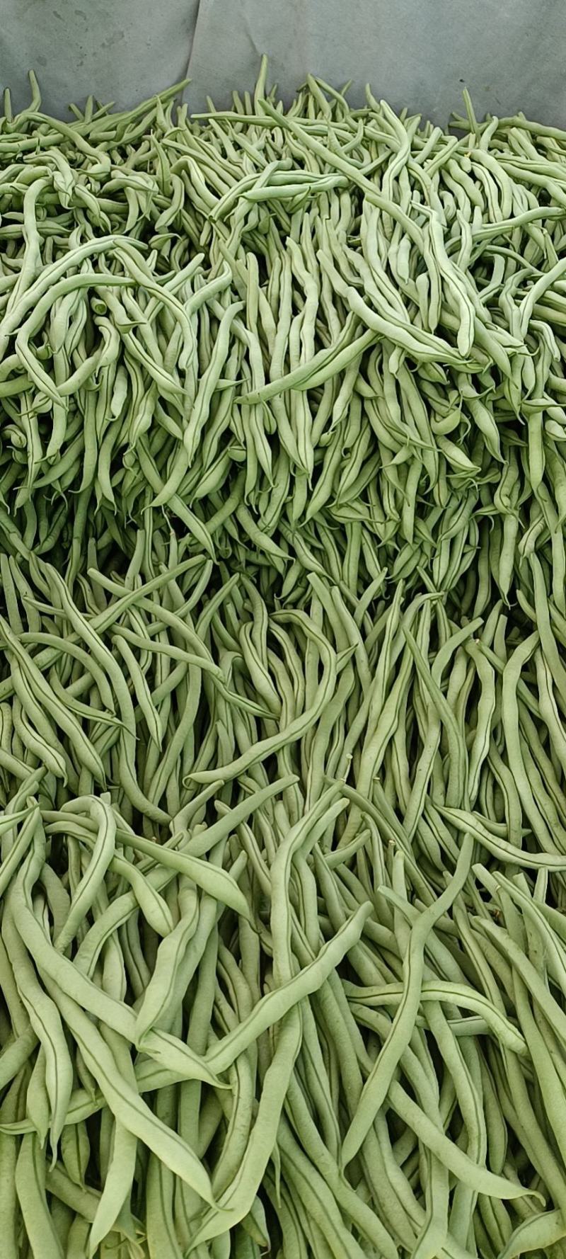 各种蔬菜