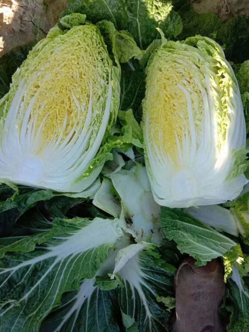 各种蔬菜