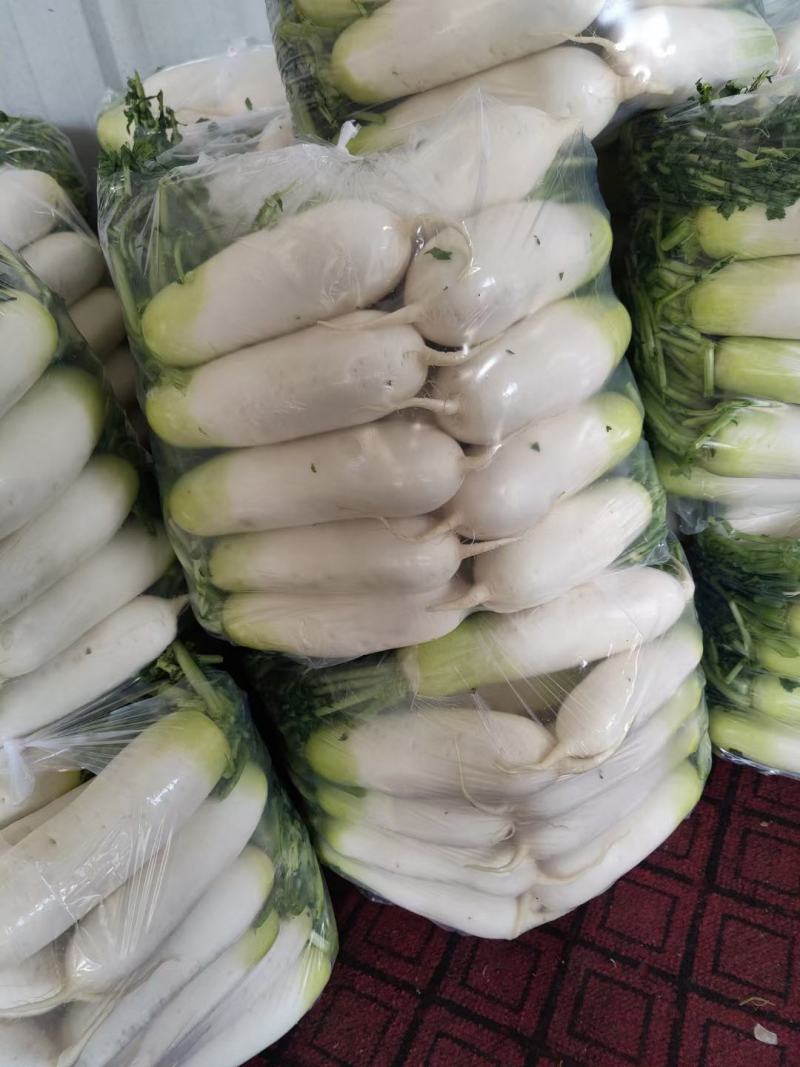 各种蔬菜