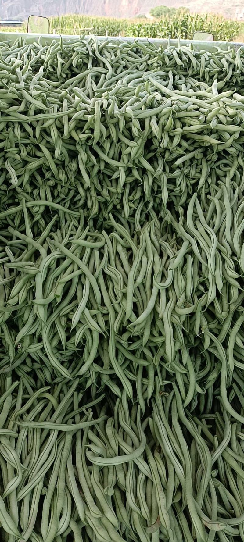 各种蔬菜