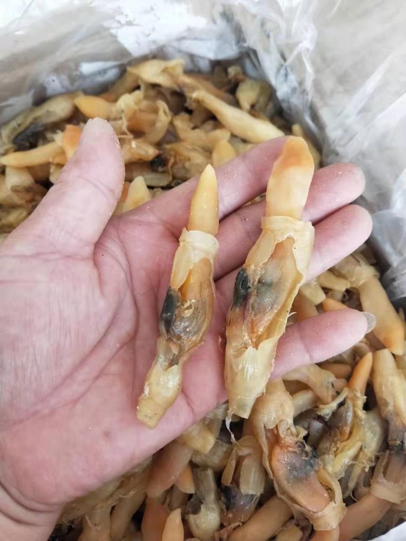 蛏王肉干干度好无沙干净支持一件代发对接各地电商