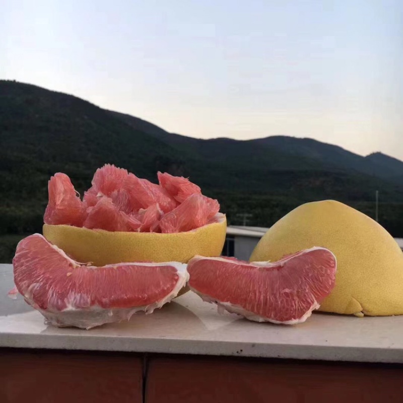正宗平和琯溪红心柚子