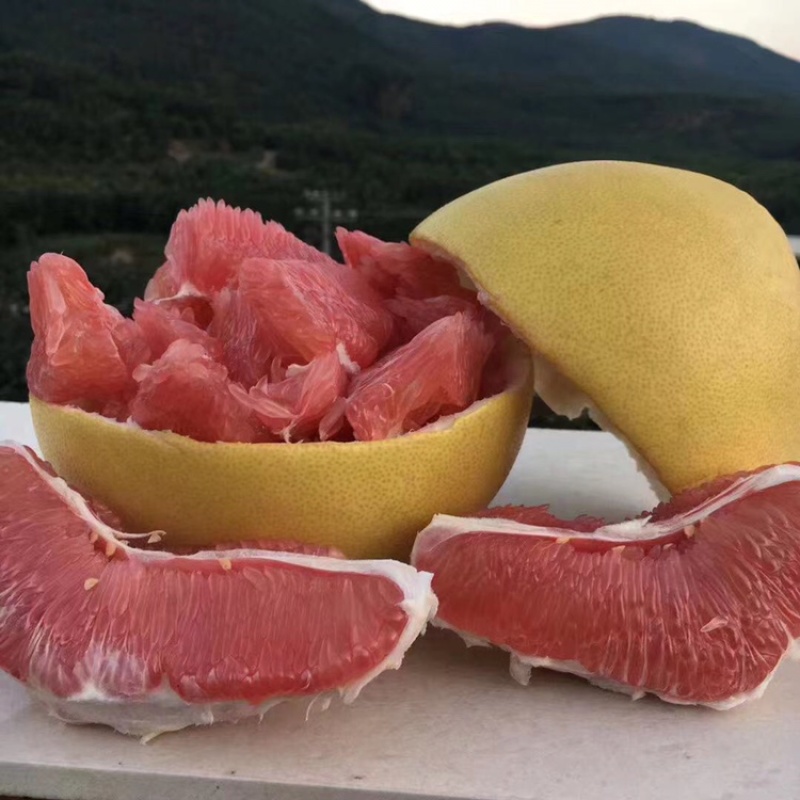 正宗平和琯溪红心柚子