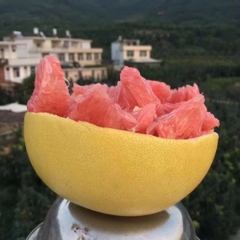 正宗平和琯溪红心柚子