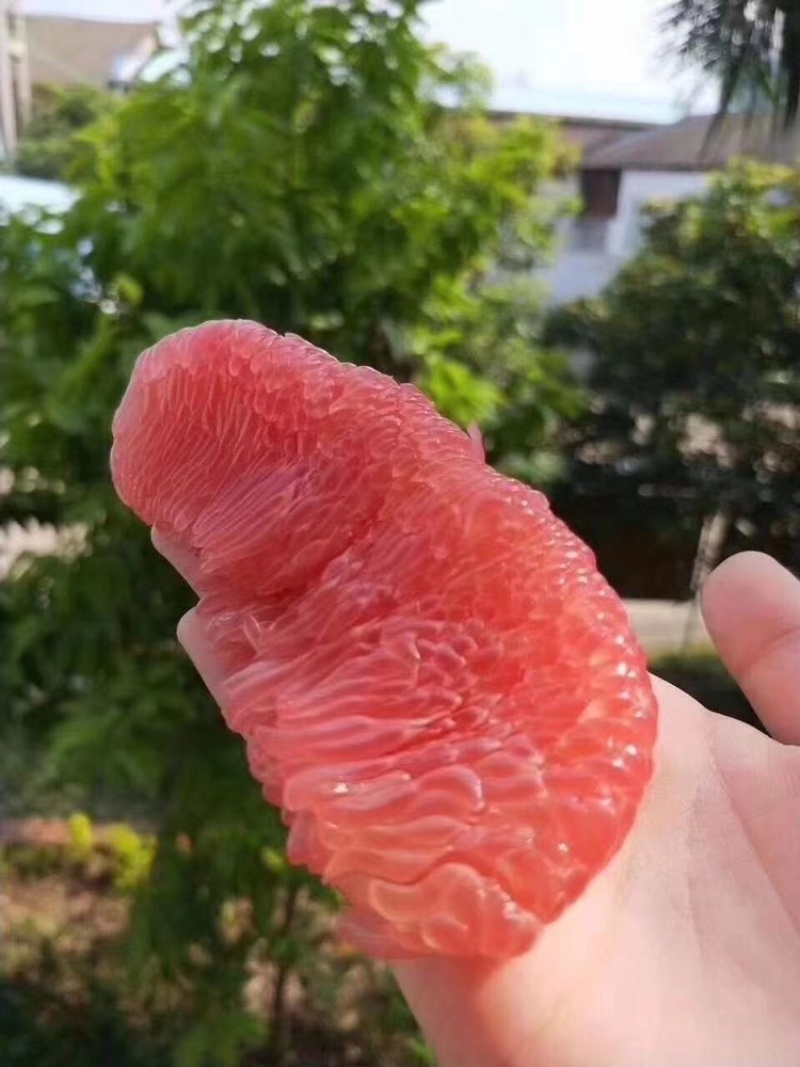 正宗平和琯溪红心柚子