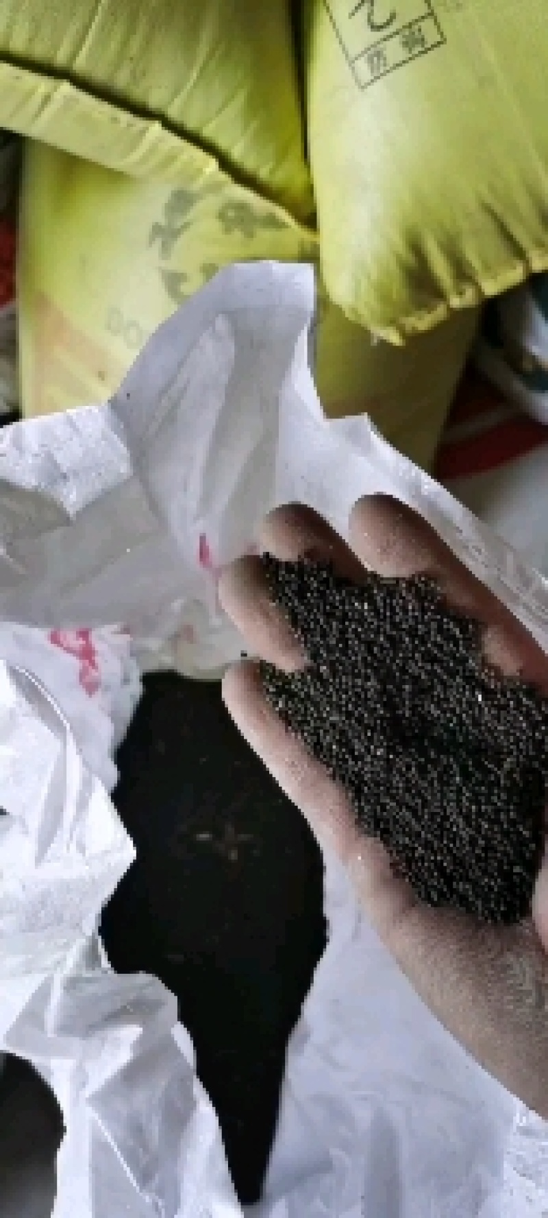 油菜籽