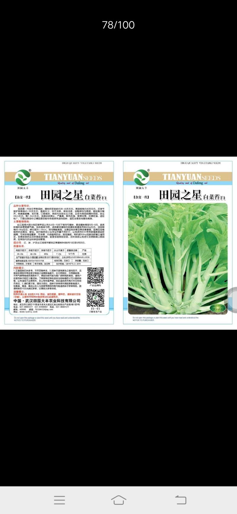 白菜苔，杂交一代，播种至收割36-40天，移栽45天左