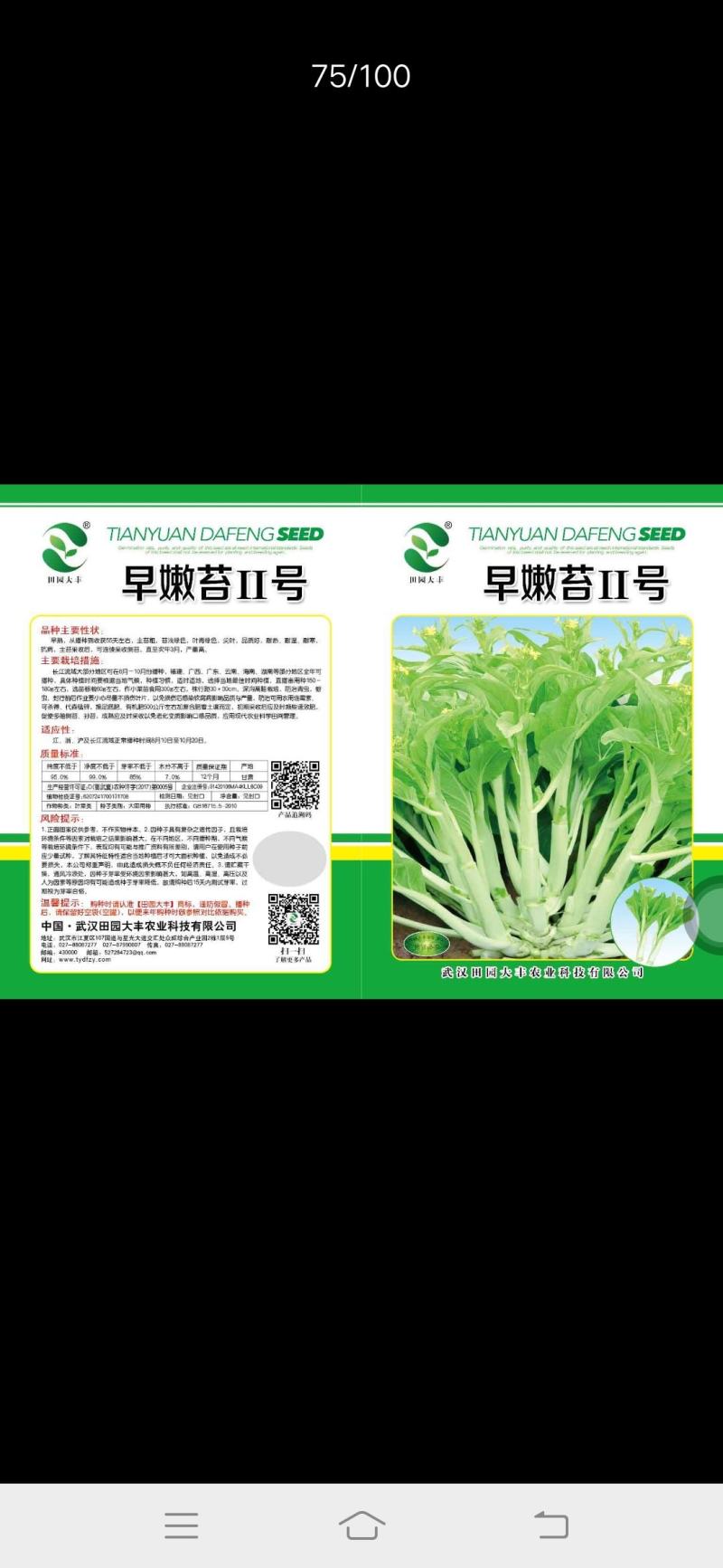 早嫩白菜苔11号，耐热耐寒耐湿。抗病，播种至采收55天