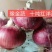 十吨红适宜甘肃新疆内蒙种植色泽红亮个头大抗裂
