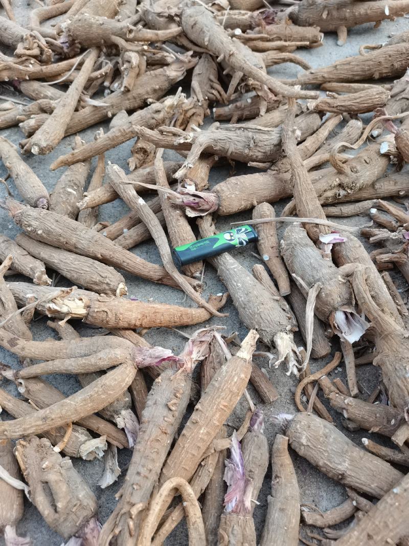 白芷，各种规格都有，现货供应。。。。。