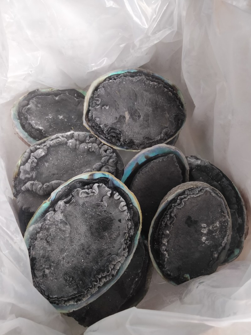 400-800g黑金鲍特价120元/斤