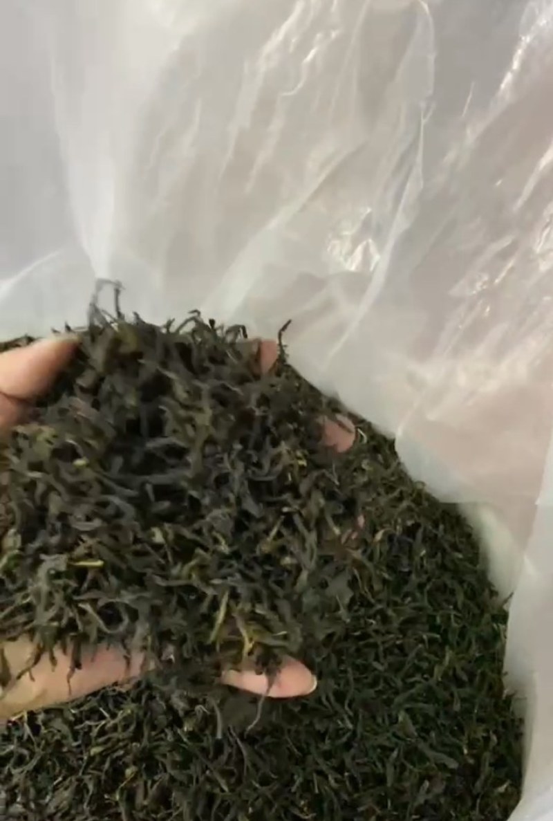 凤凰春乌岽春鸭屎香单丛别名（银花香茶）海拔1000米