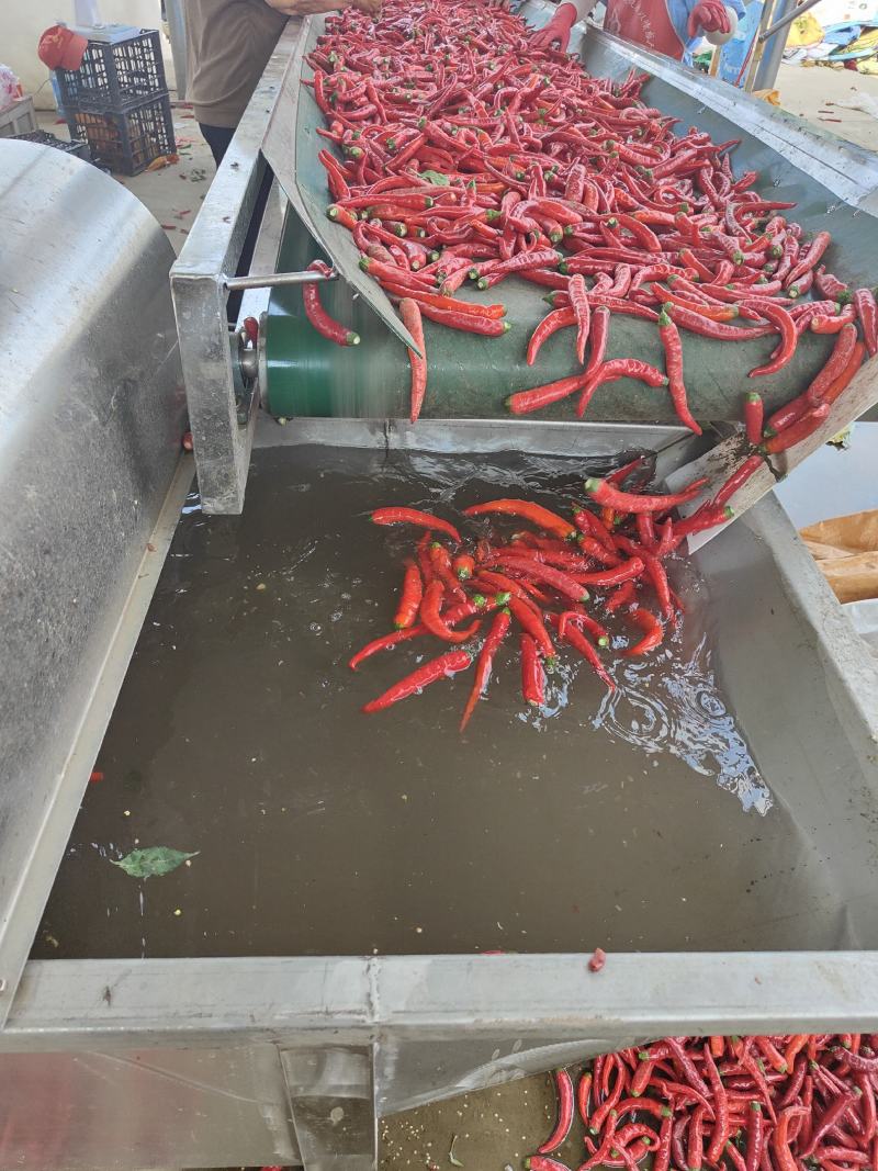 鲜辣椒