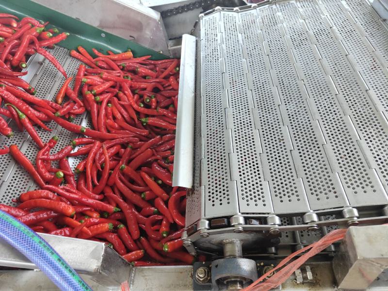 鲜辣椒