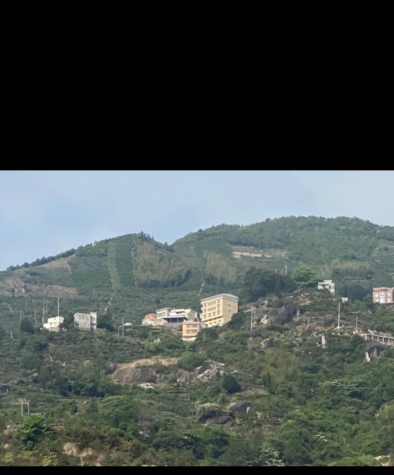 **产品凤凰春高山八仙单丛茶，果香味浓郁，炭香味更佳