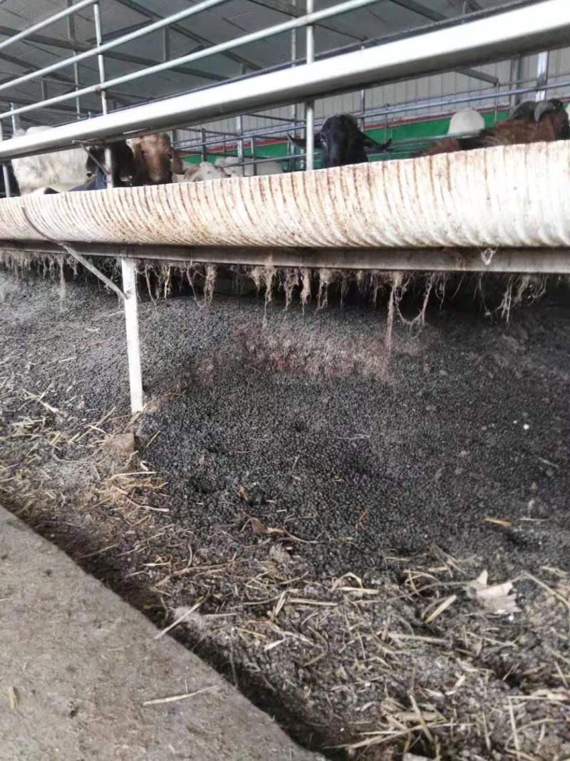羊粪，颗粒羊粪，干羊粪，厂家直供中原牧场，干净无杂质