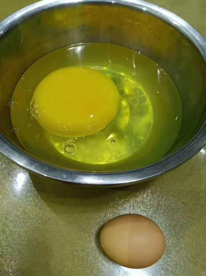 新鲜的鸵鸟蛋重量三斤多