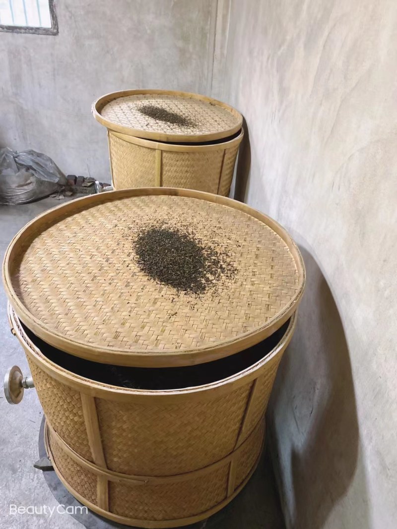 凤凰茶山优质产品兰花香单丛茶兰花味十足，产地直销