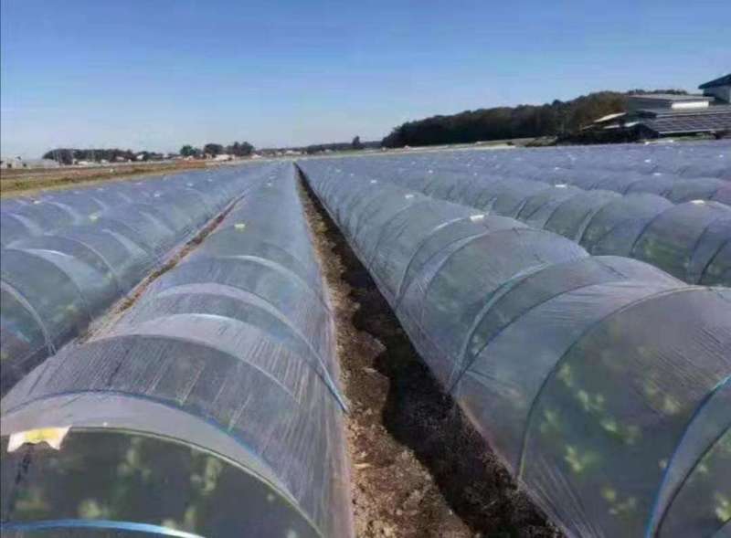 拱棚杆，拱棚支架，玻璃纤维杆，玻纤杆，育苗保温防晒支撑杆