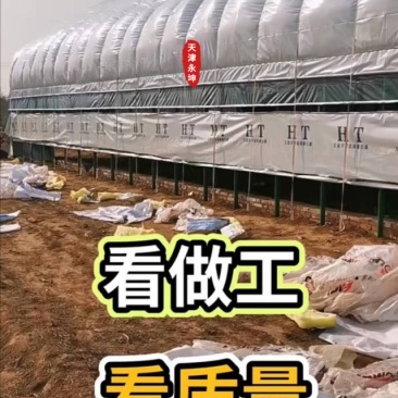 养殖大棚养猪大棚养羊大棚养牛大棚养殖大棚设计