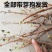 正宗黑加仑四季种植抗寒耐冻南北适宜批发地摊货树苗果树苗