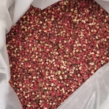 地域关系，品质不一样，甘肃花椒耐旱口味麻辣纯正