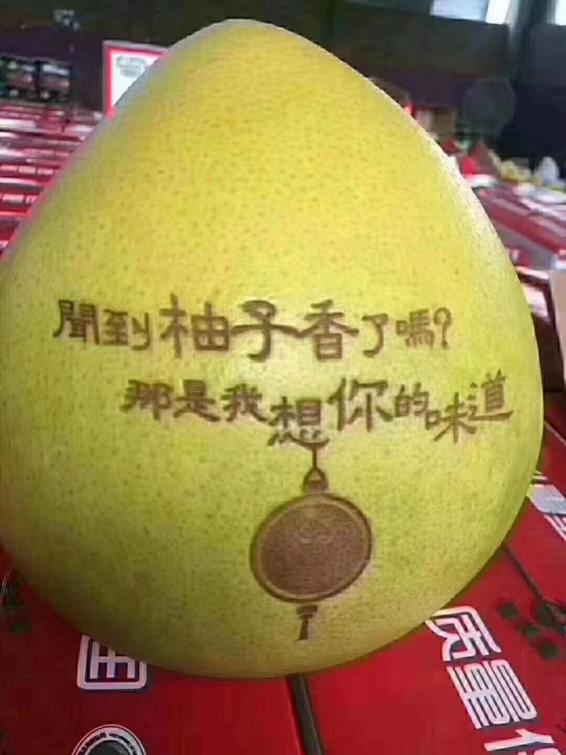 三红蜜柚