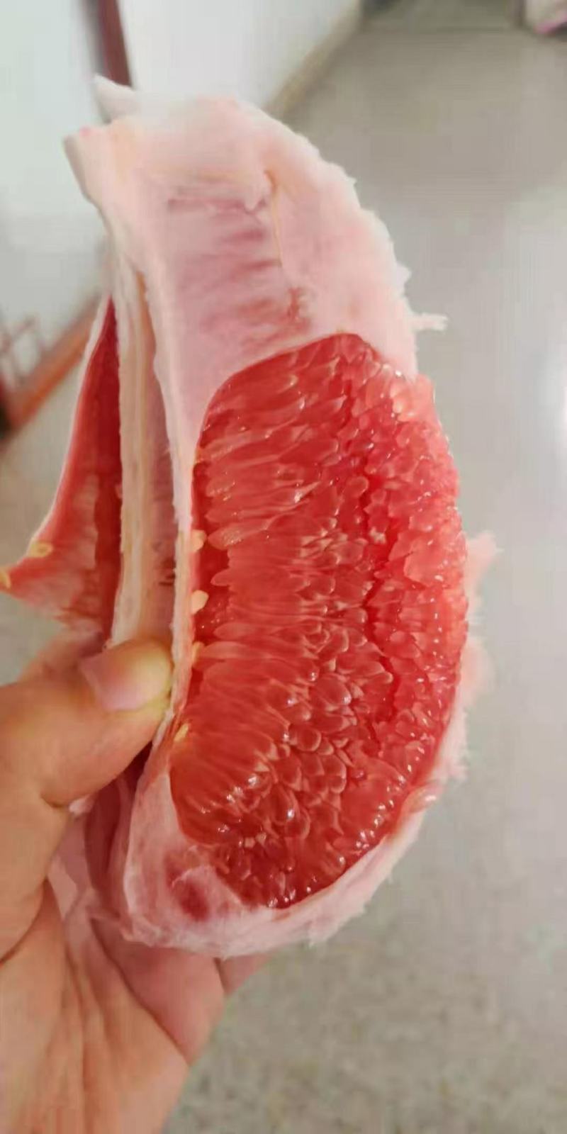 三红蜜柚