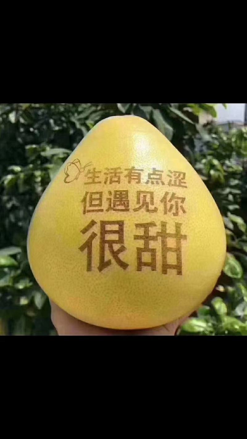 三红蜜柚