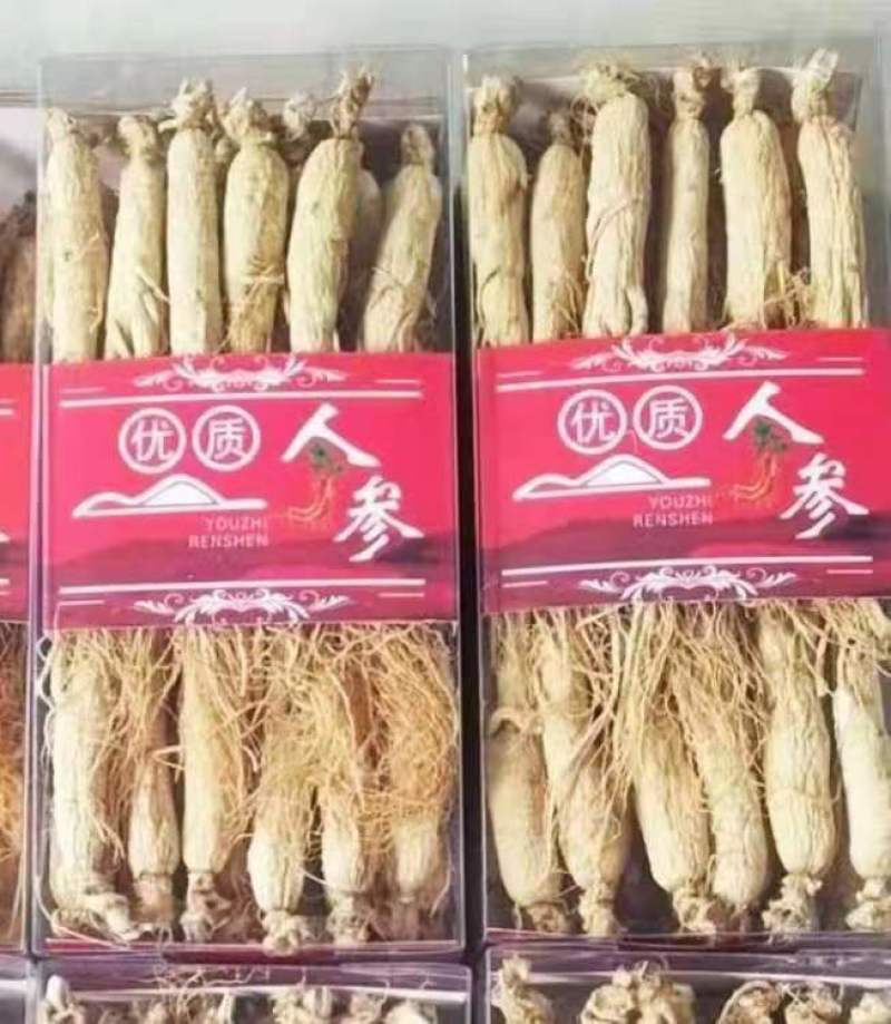 长白山精品白参（生晒白干参）足干白条参干人参全须