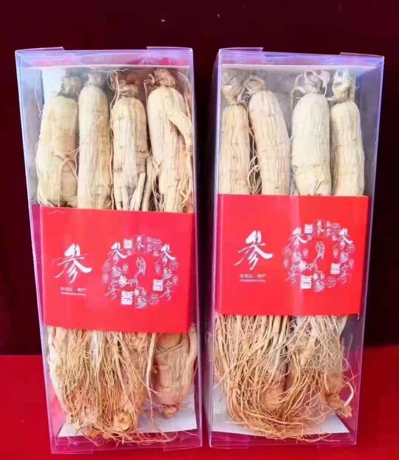 长白山精品白参（生晒白干参）足干白条参干人参全须
