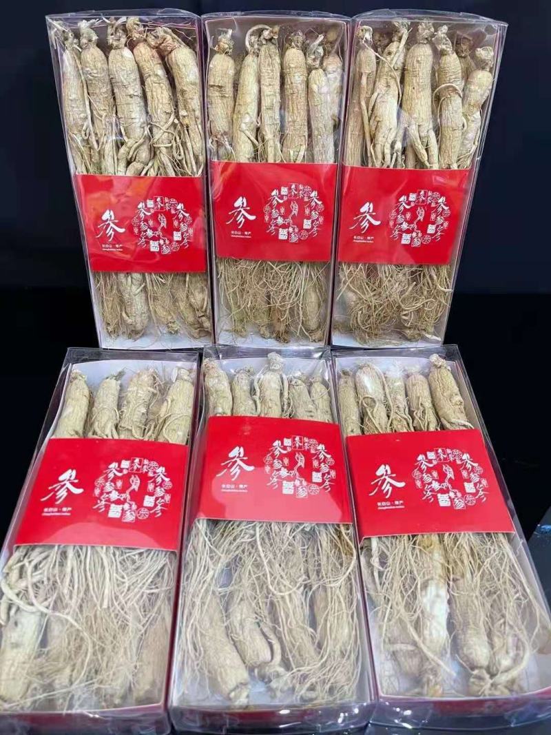 长白山精品白参（生晒白干参）足干白条参干人参全须