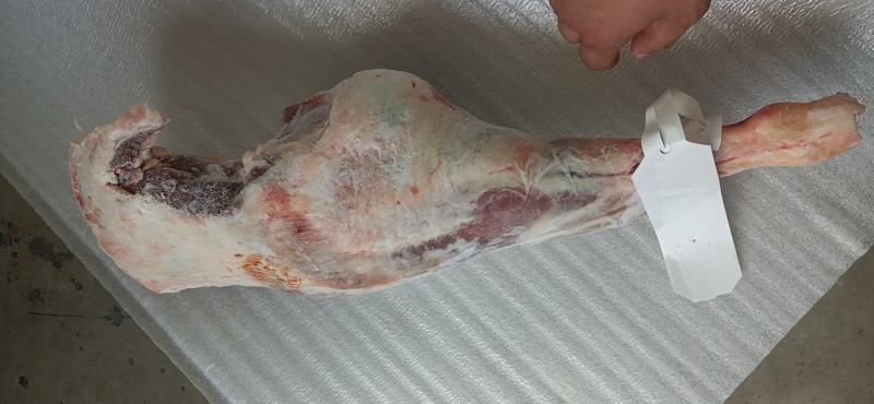 分割大羊后腿