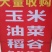黄玉米—四川德阳中江本地玉米。黄玉米—四川德阳中江本地玉