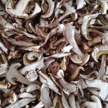 云南野生菌，精品美味牛肝菌，各种等级价格都有，下单请咨询