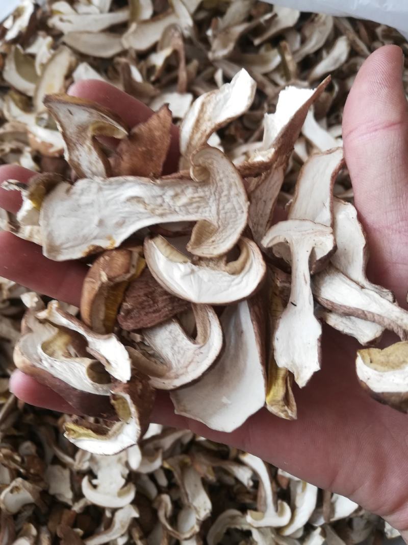 云南野生菌，精品美味牛肝菌，各种等级价格都有，下单请咨询