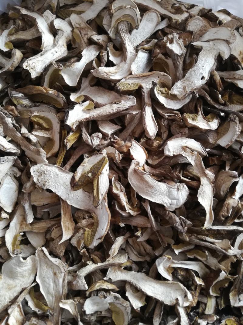 云南野生菌，精品美味牛肝菌，各种等级价格都有，下单请咨询