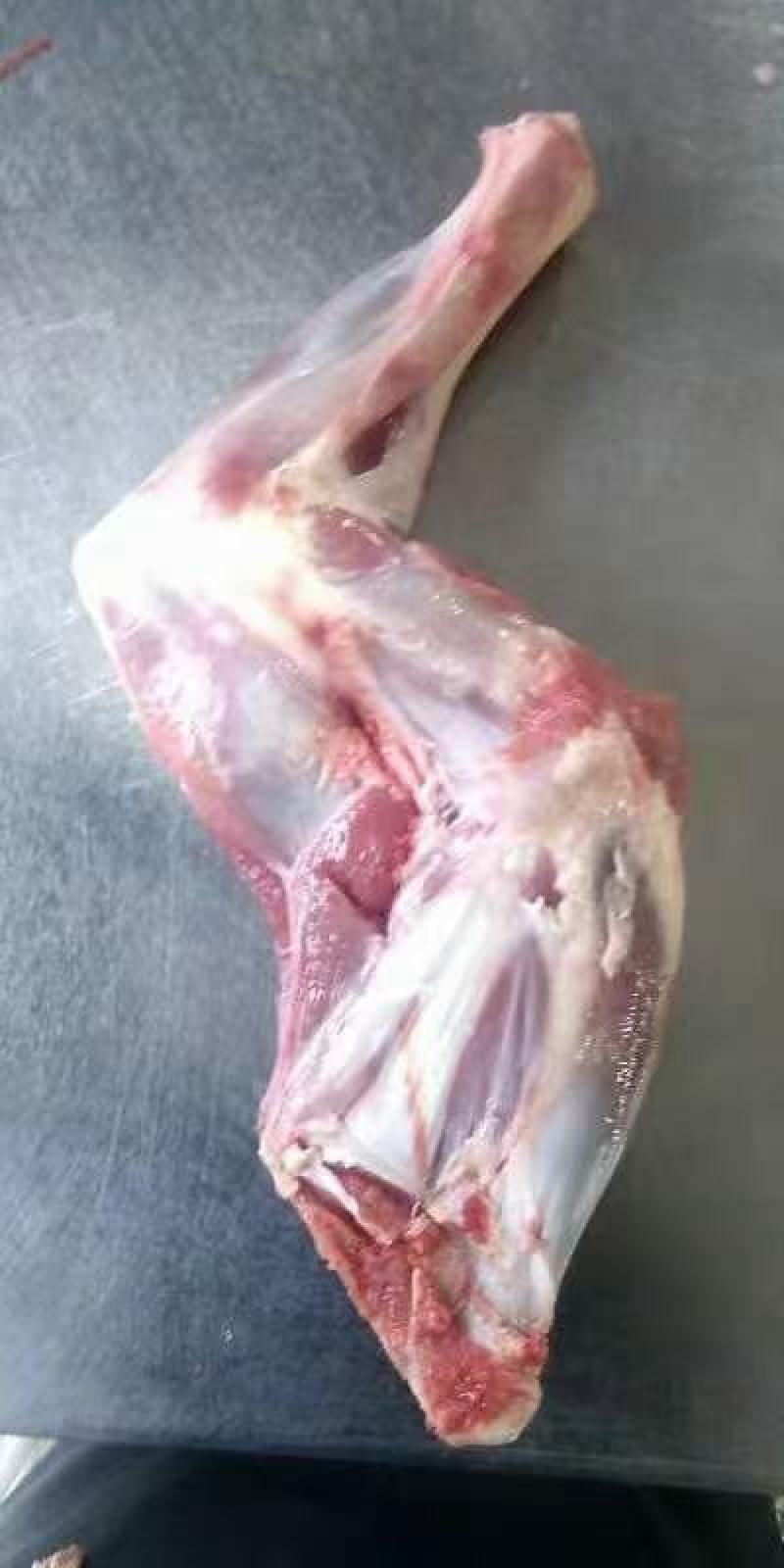 羊前腿