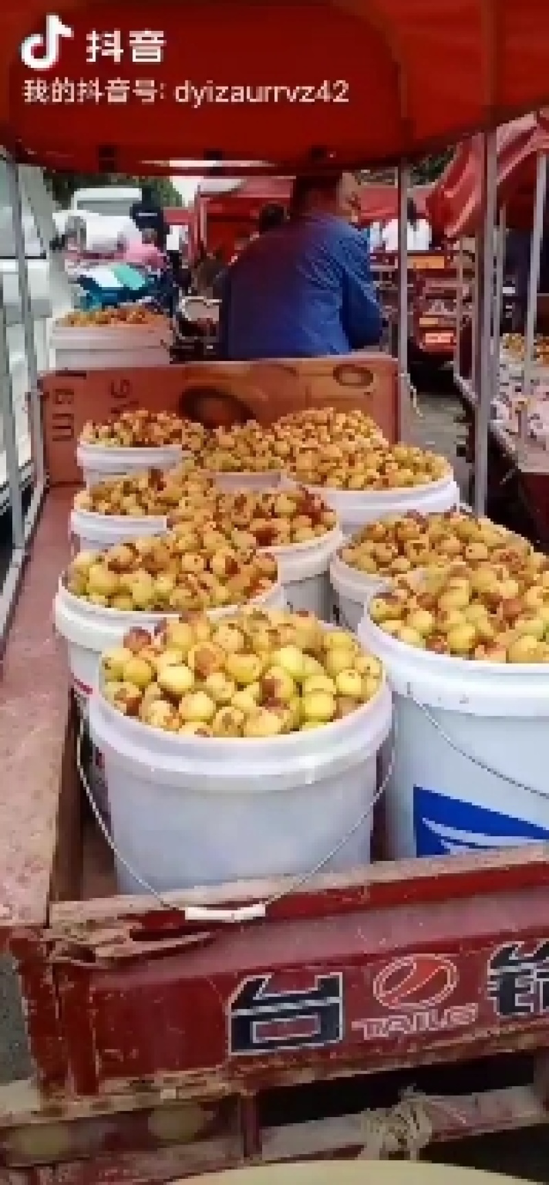 大荔冬枣，产地直发，一件代发，商超供应。