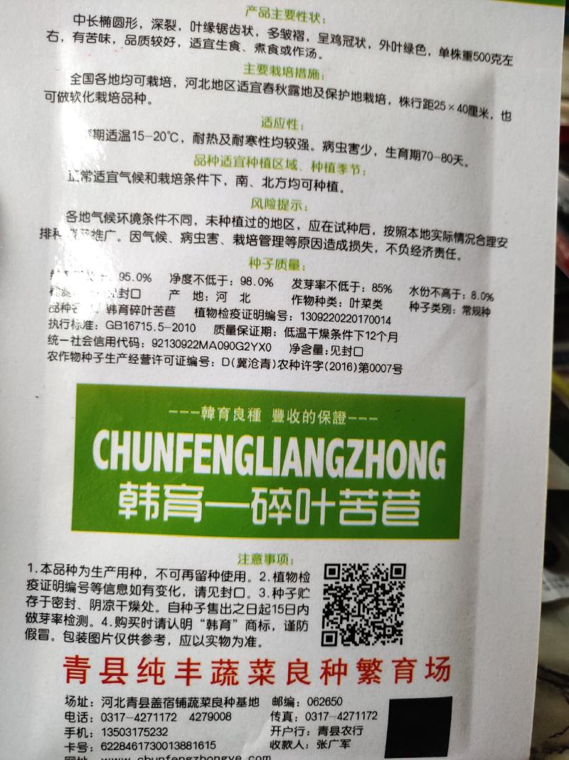 碎叶苦巨菜种子，外叶绿色，有苦味，随圆形，