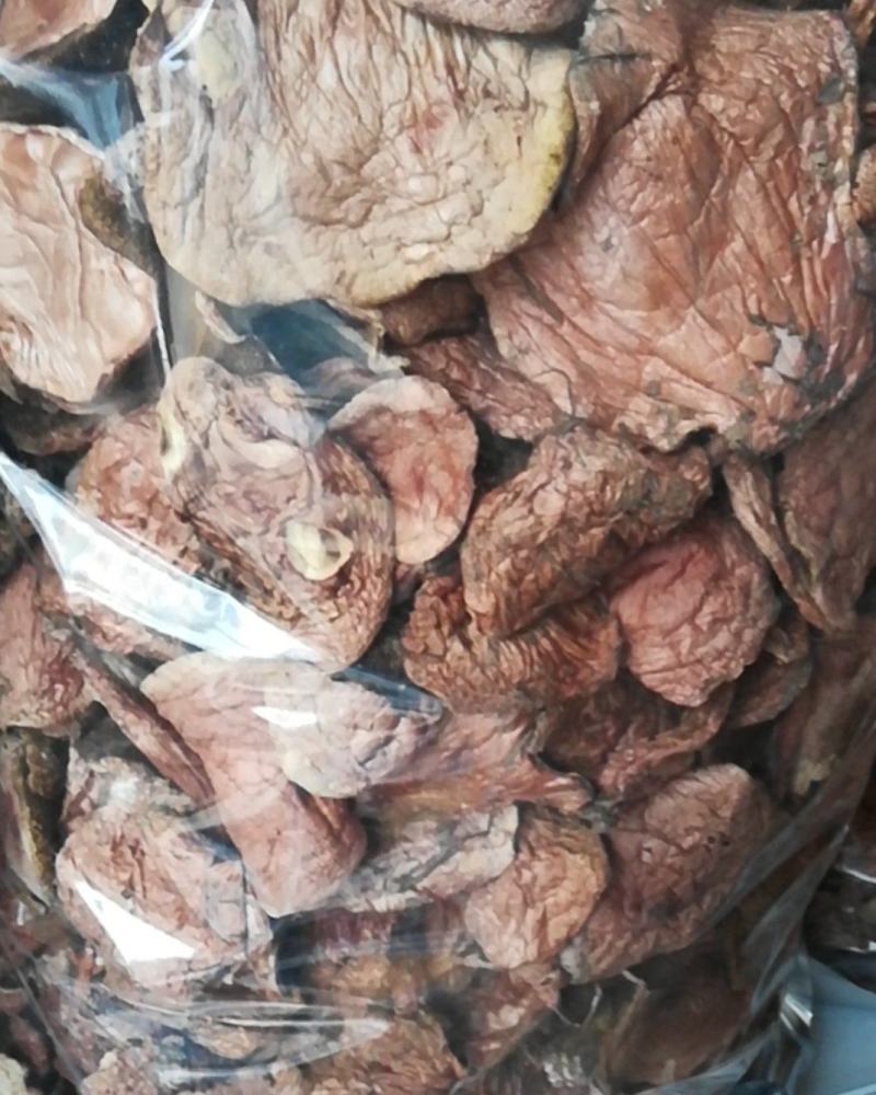 云南野生菌批发，精选红乳牛肝菌