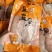湛江特产一夜埕深海马友马鲛鲅鱼新鲜冷冻淡盐无刺海鲜5斤装