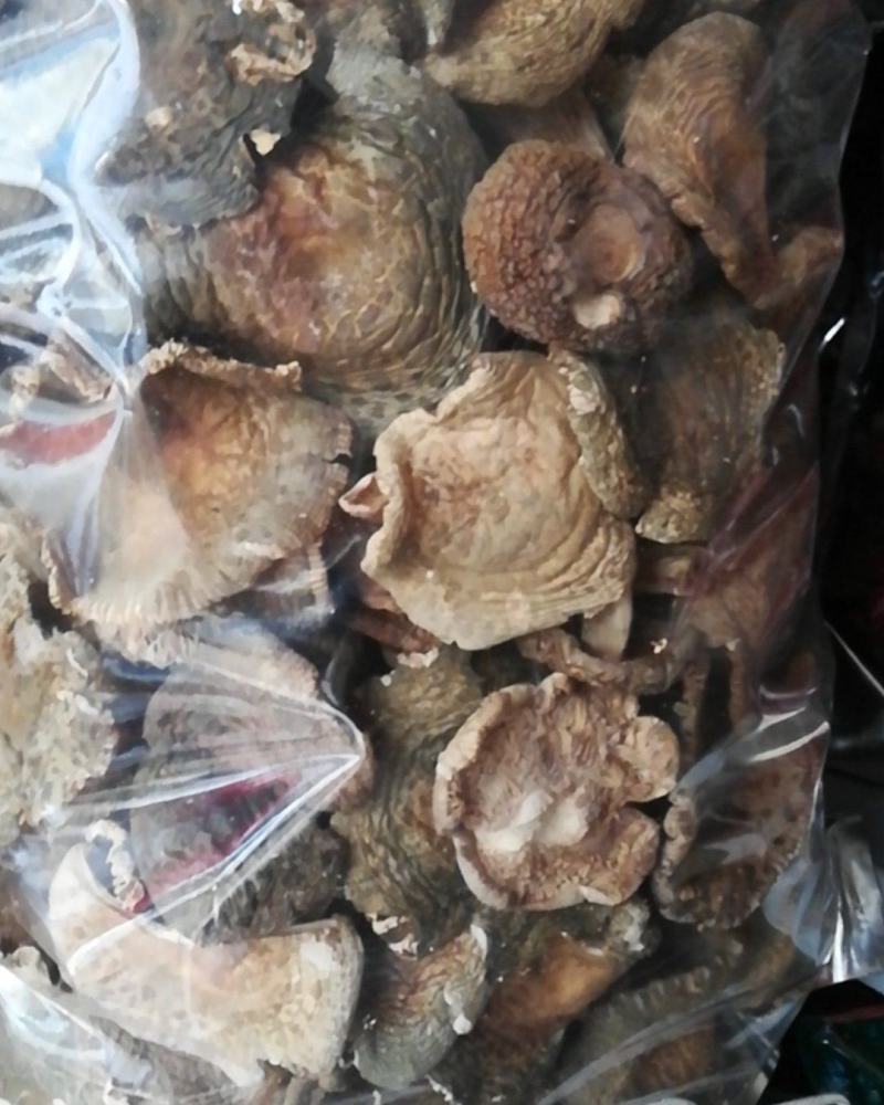 云南省南华县野生菌产地批发各类野生菌，野生青头菌梨菇